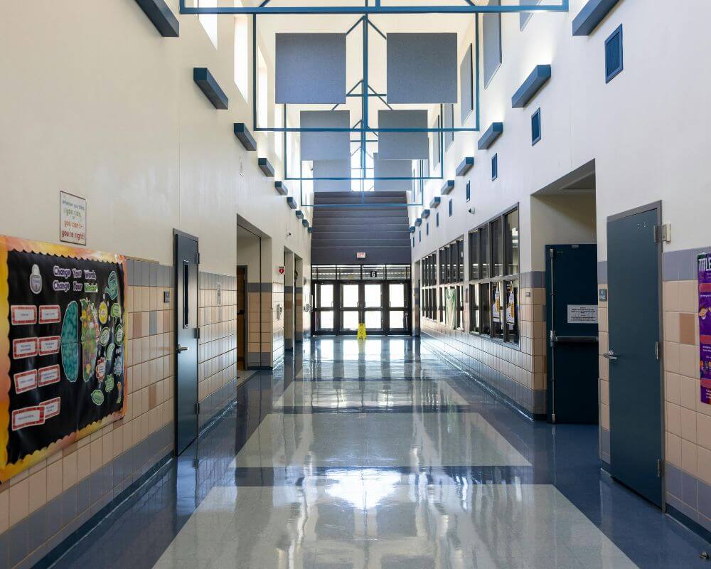 school governance